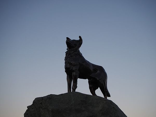 バウンダリー犬の像