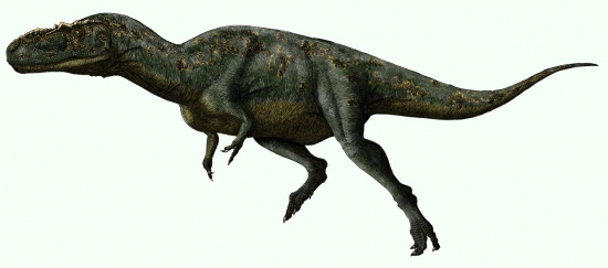 Gorgosaurus 7