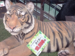 ビバホームは虎も売ってる