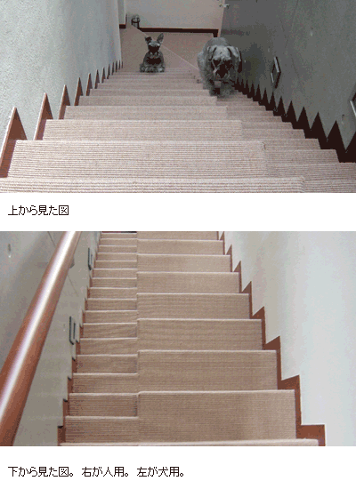 階段 スロープ 犬