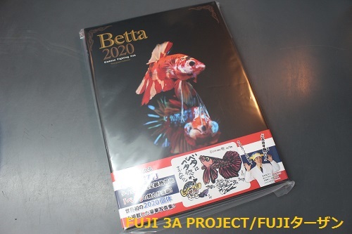 Betta2020.jpg