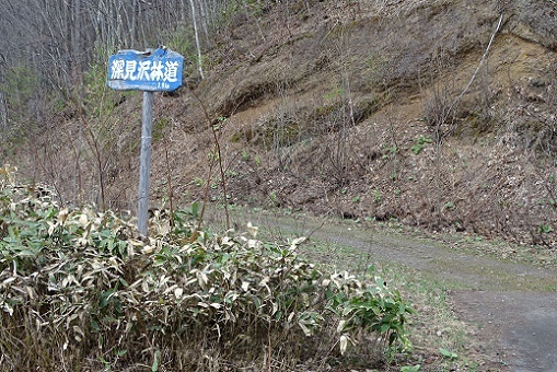 滝上森林鉄道東側 (10)
