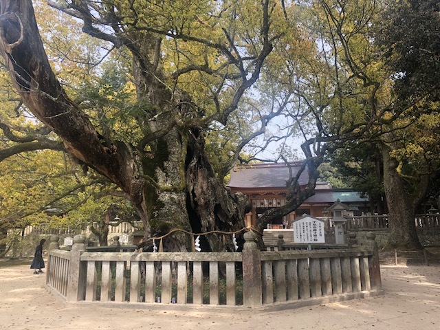 大山祇神社　２６００年