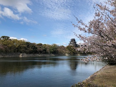 広島城と桜（H31,4)