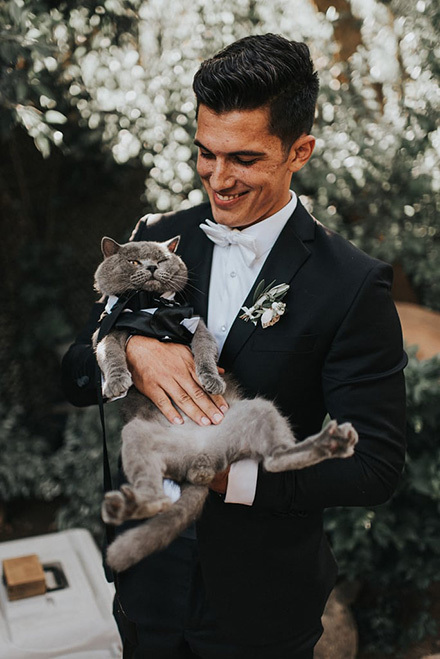 Photos-Cat-Who-Best-Man-Wedding2