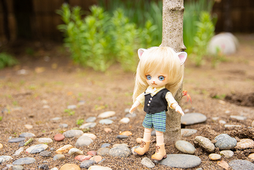 オビツ11ボディ、PARABOXヒカリちゃんヘッドをカスタムして作った猫っ子ポー。大きなお庭で遊んでいます。