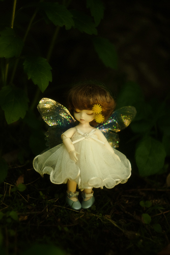 DOLL FACTORY・Baby Ariの小さな眠り目の子、Emma（エマ）。妖精の羽をまとって、夜の森のような草むらで。