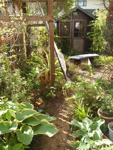 my-garden 051
