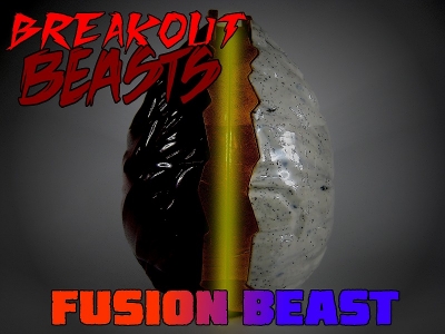 fusionbeast