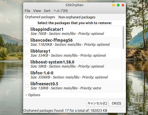 Ubuntu 18.04 不要ファイル削除 GtkOrphan